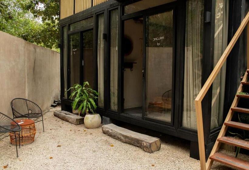 اتاق استاندارد با سرویس بهداشتی مشترک, Bufo Alvarius