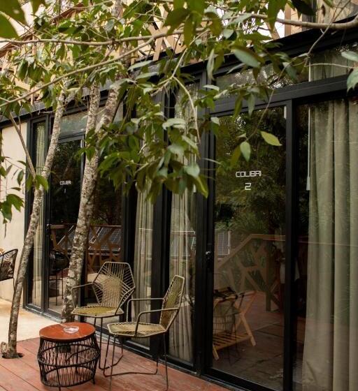 اتاق استاندارد, Bufo Alvarius