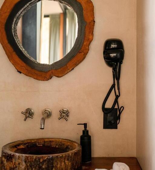 آپارتمان 1 خوابه با تراس, Bufo Alvarius