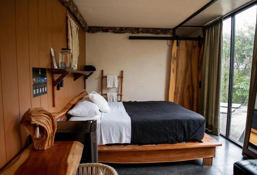 آپارتمان 1 خوابه با تراس, Bufo Alvarius