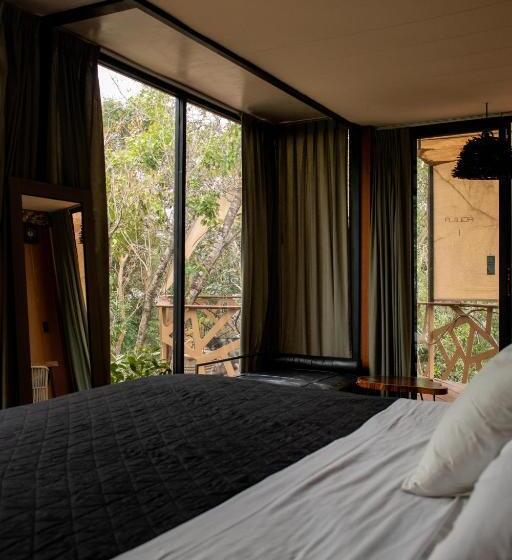 آپارتمان 1 خوابه با تراس, Bufo Alvarius