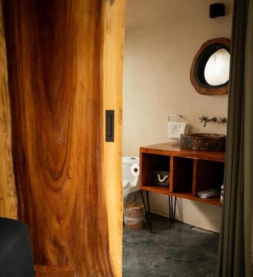 آپارتمان 1 خوابه با تراس, Bufo Alvarius