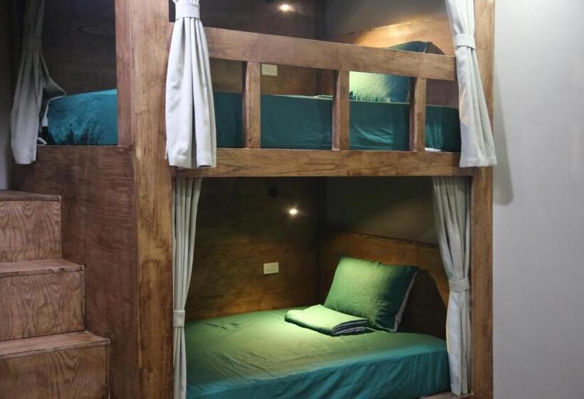 تختخواب در اتاق مشترک, The Banana Tree Hostel