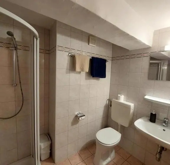 スタンダードシングルルーム, 3 Raben   Leoben   Zimmer Für Geschäftsreisende, Urlauber, Monteure Und Handwerker, Polski Pensjonat