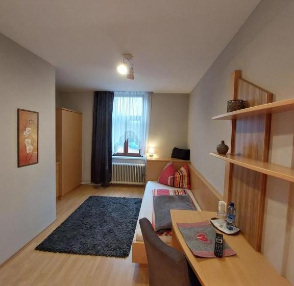 スタンダードシングルルーム, 3 Raben   Leoben   Zimmer Für Geschäftsreisende, Urlauber, Monteure Und Handwerker, Polski Pensjonat