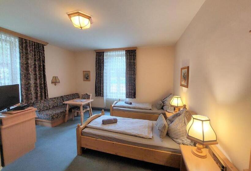 غرفة قياسية, 3 Raben Leoben Zimmer Für Geschäftsreisende, Urlauber, Monteure Und Handwerker, Polski Pensjonat