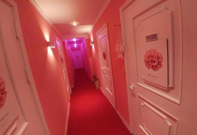 Standardzimmer, Spring Light