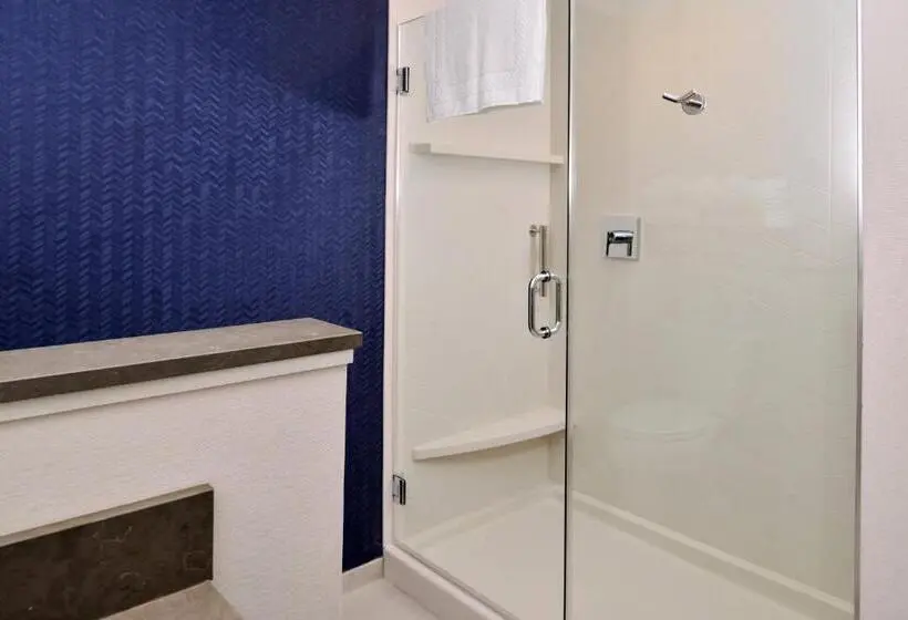 キングサイズベッドのスイートルーム, Fairfield Inn & Suites By Marriott Canton