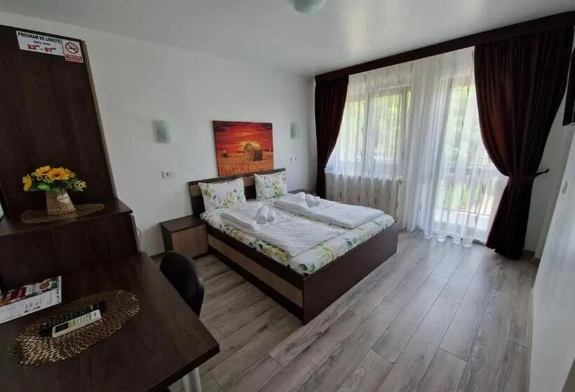 Standard-huone, Pensiunea Bella Vista