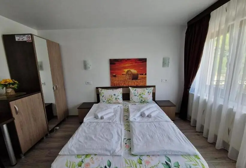 Standard-huone, Pensiunea Bella Vista