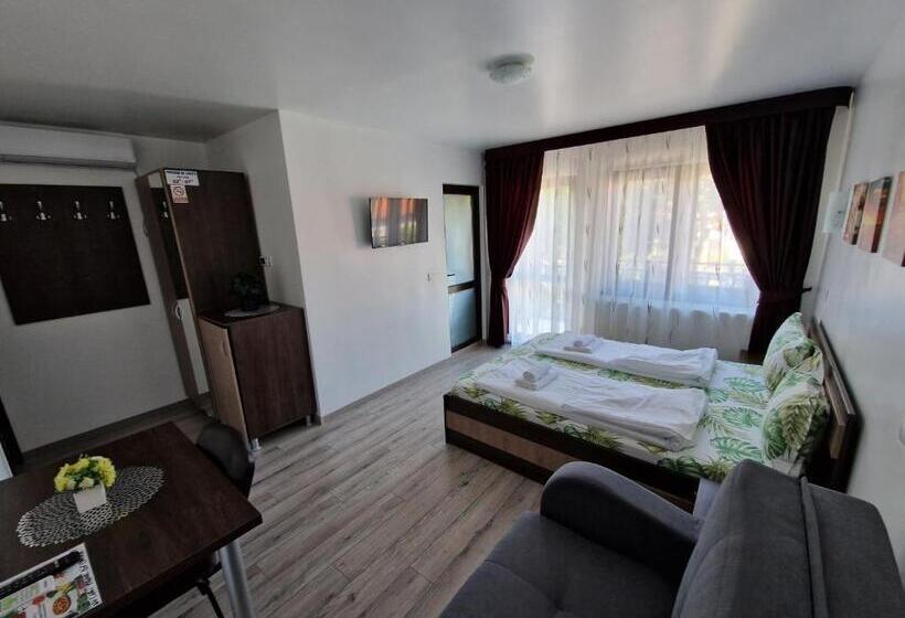 Номер Стандарт Трехместный, Pensiunea Bella Vista