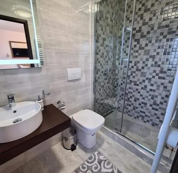 Deluxe-huone, Pensiunea Bella Vista
