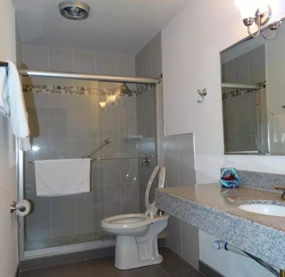 Standard-huone King-vuode, Colony Motel