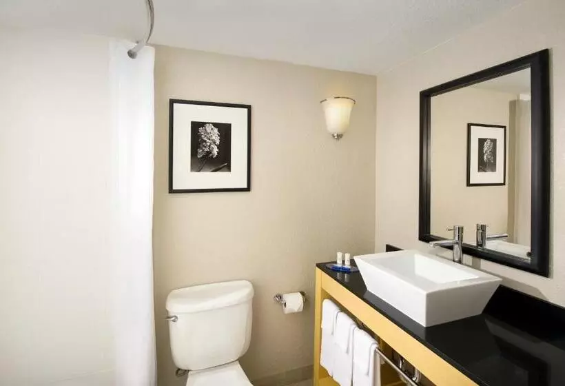 スイート, Best Western Alamo Suites Downtown