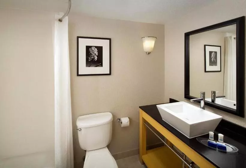 身障者適用スイートルーム, Best Western Alamo Suites Downtown