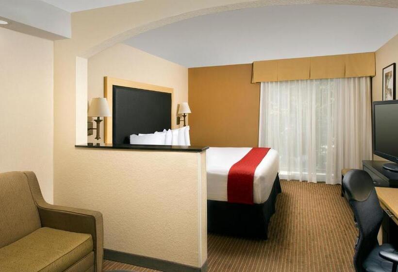 带大床的套房, Best Western Alamo Suites Downtown