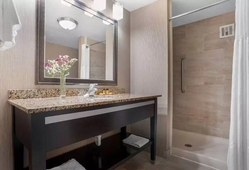 デラックススイート, Best Western Plus Tallahassee North