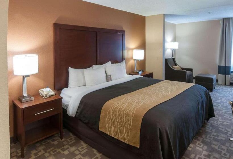 غرفة قياسية سرير كينج, Comfort Inn North Conroe