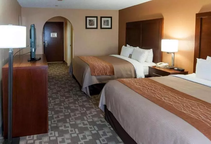 スタンダードルーム, Comfort Inn North Conroe