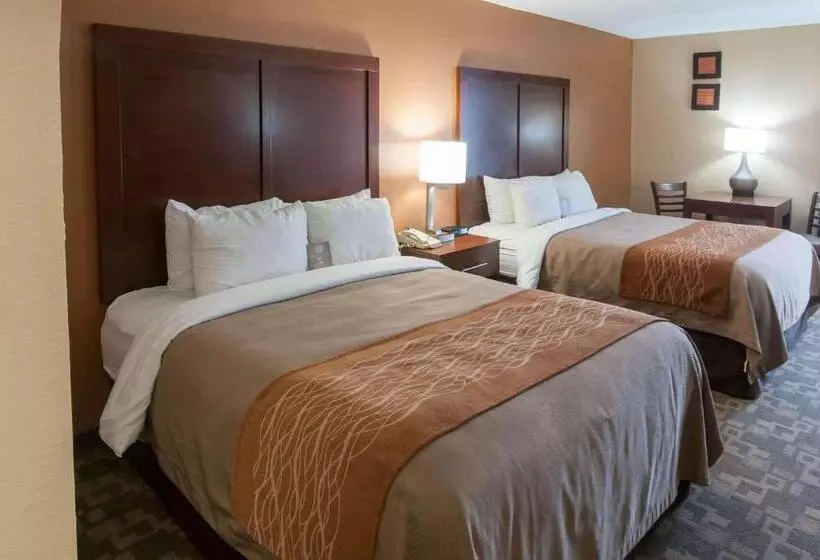 スタンダードルーム, Comfort Inn North Conroe