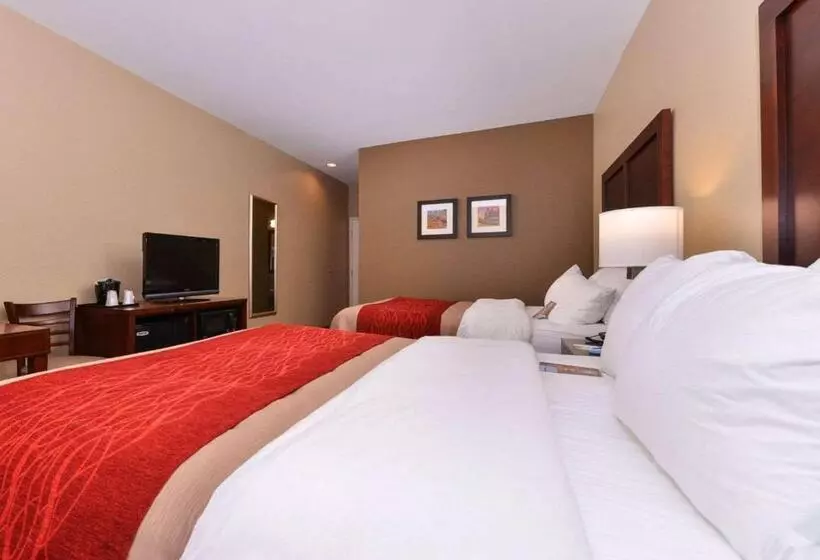 スタンダードルーム, Spark By Hilton Fountain Hills Scottsdale