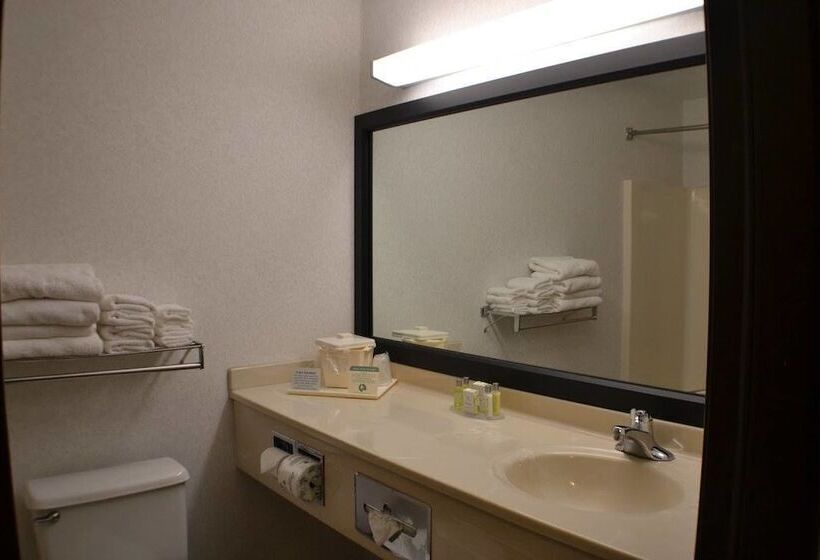 2ダブルベッドのスタンダードルーム, Dunes Express Inn And Suites