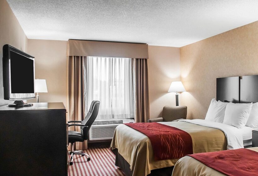 חדר סטנדרט שתי מיטות זוגיות, Quality Inn