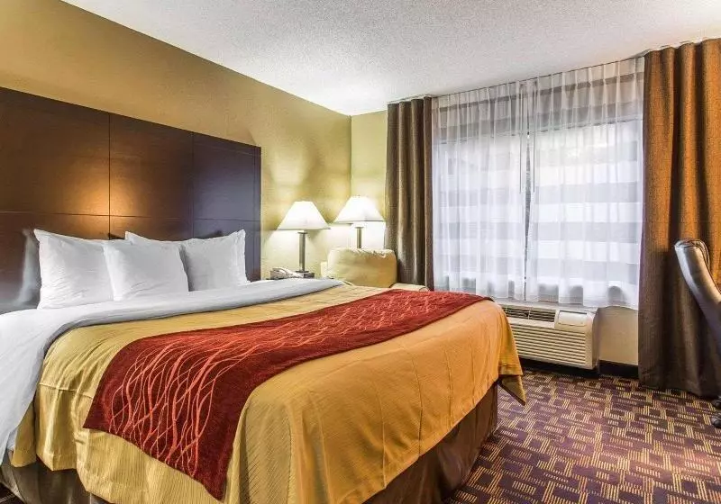キングサイズベッドのスタンダードルーム, Quality Inn Lincolnton