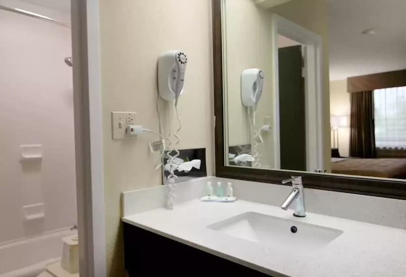 스탠다드 룸 더블 침대 2개, Quality Inn & Suites Franklin