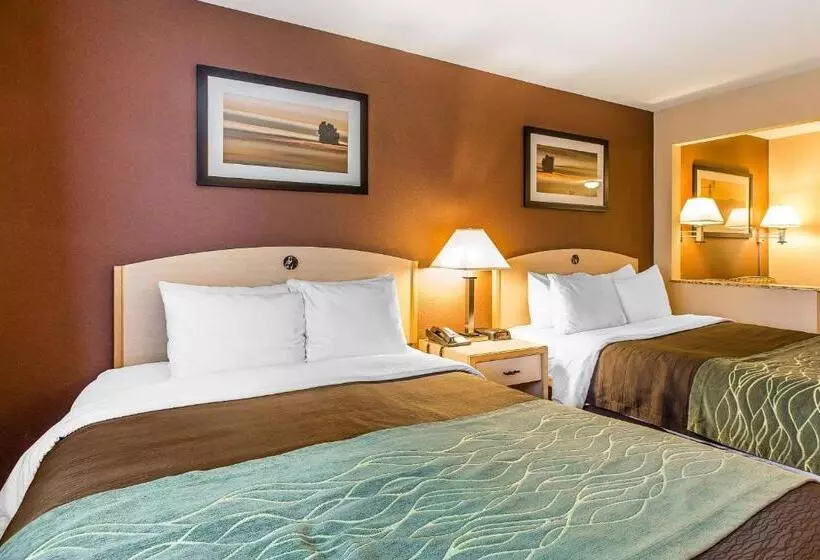 スタンダードルーム, Quality Inn & Suites Loveland