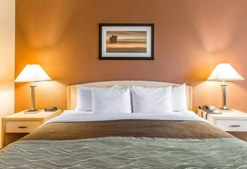 キングサイズベッドのスイートルーム, Quality Inn & Suites Loveland