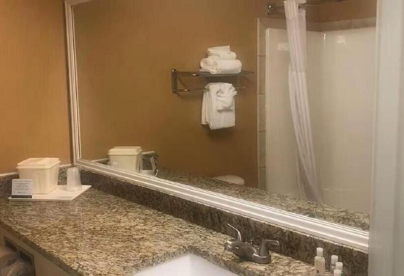 اتاق استاندارد با تخت بزرگ برای معلولان, Quality Inn & Suites Loveland
