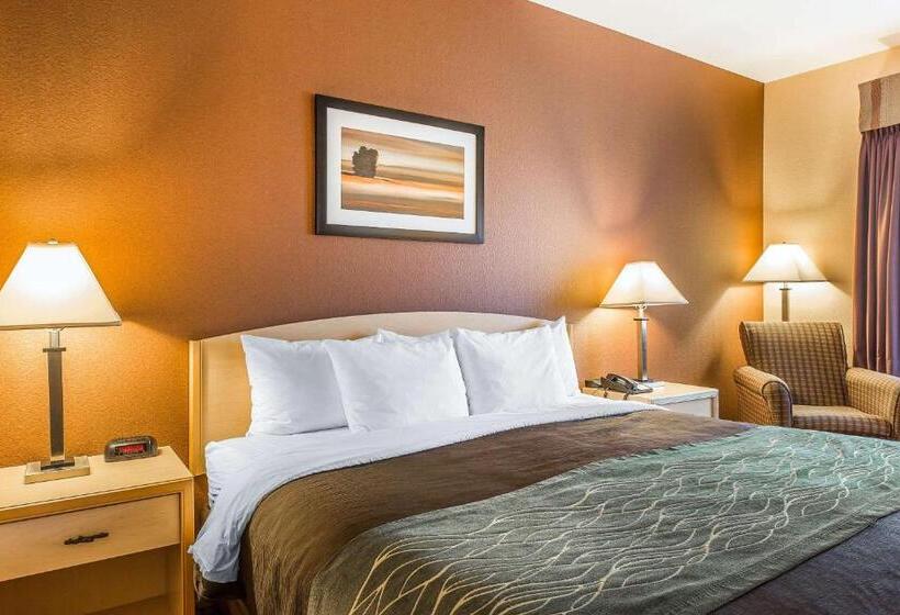 Номер Стандарт Кровать Кинг Адаптированный для Инвалидов, Quality Inn & Suites Loveland