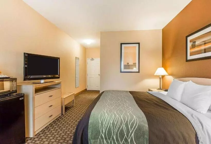 身障者適用キングサイズベッドルーム, Quality Inn & Suites Loveland