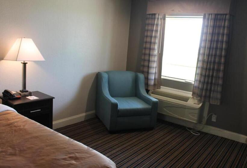 스탠다드 룸 킹사이즈 침대, Quality Inn & Suites Port Arthur  Nederland