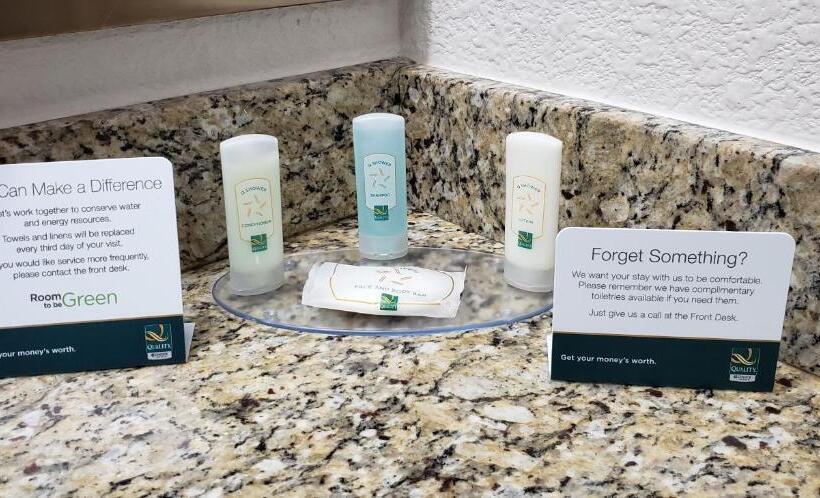 غرفة سوبيريور سرير كينج, Quality Inn & Suites