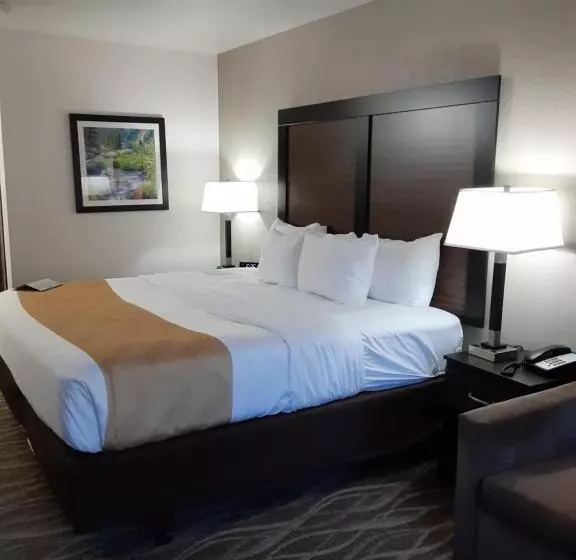 キングサイズベッドのスーペリアルーム, Quality Inn & Suites