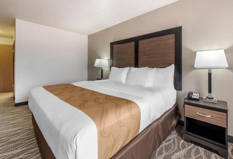 غرفة قياسية سرير كينج لذوى الإحتياجات الخاصة, Quality Inn & Suites