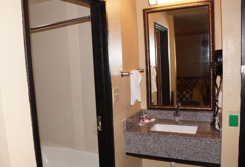 스탠다드 룸, Super 8 By Wyndham Farmers Branch/north Dallas