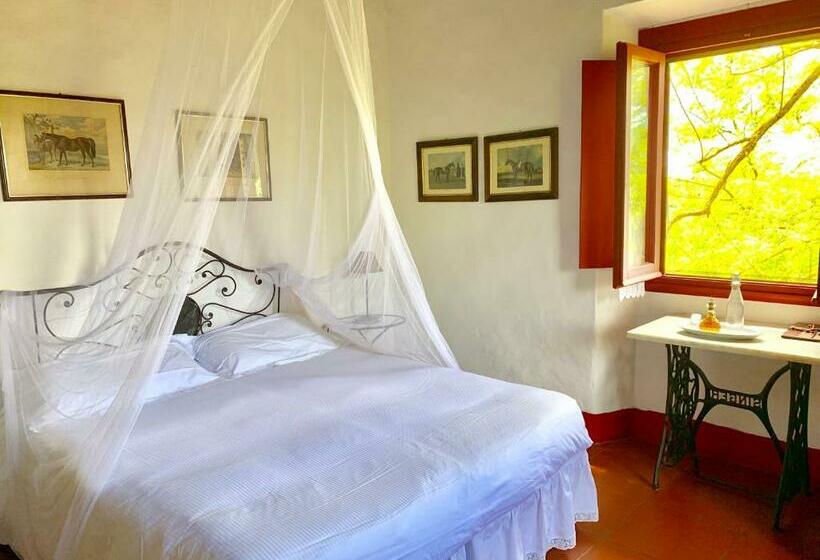 غرفة قياسية, Farmhouse B&b Il Paretaio