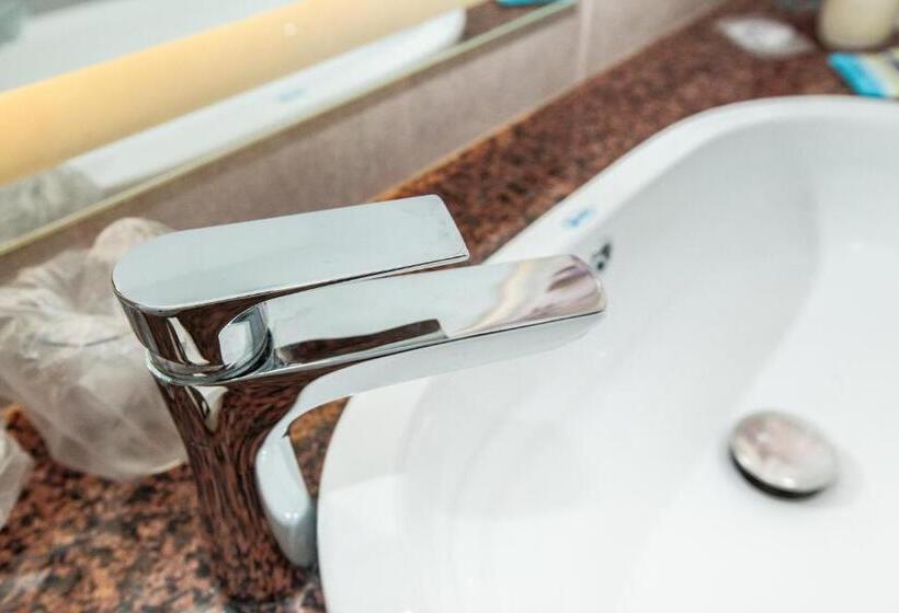 标准间, Magic Garden By Vlăduț