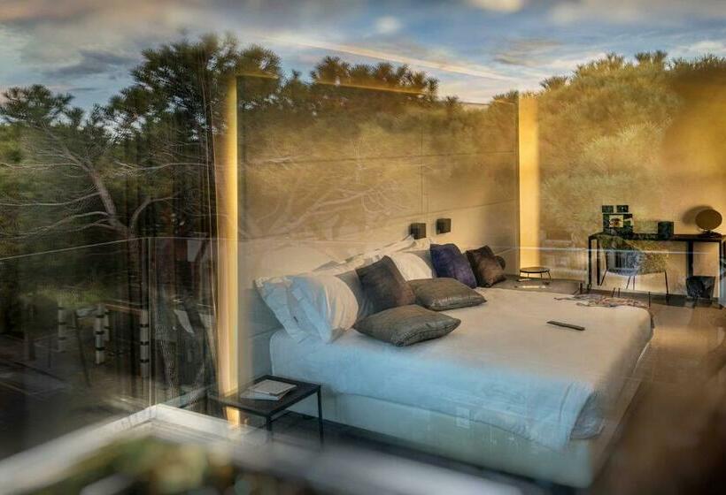 سوییت اجرایی, J44 Lifestyle