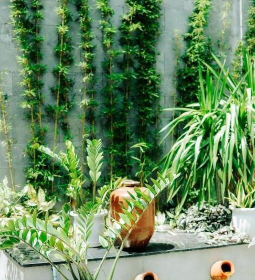 اتاق استاندارد با تخت بزرگ, Chi Homestay #4