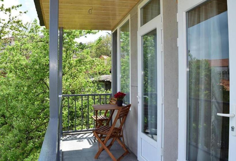 スタンダードルーム, Rustaveli Alley