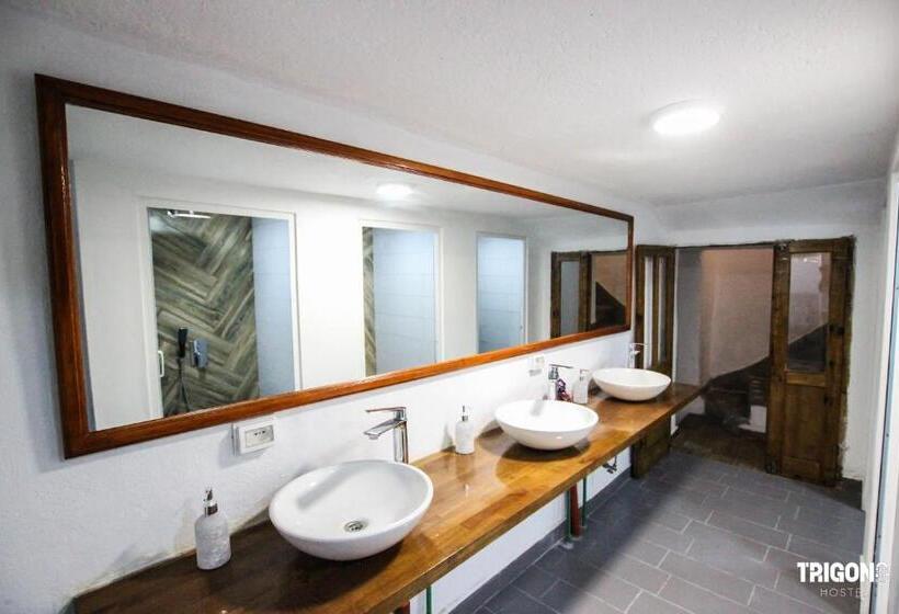 اتاق خانوادگی, Trigona Hostel