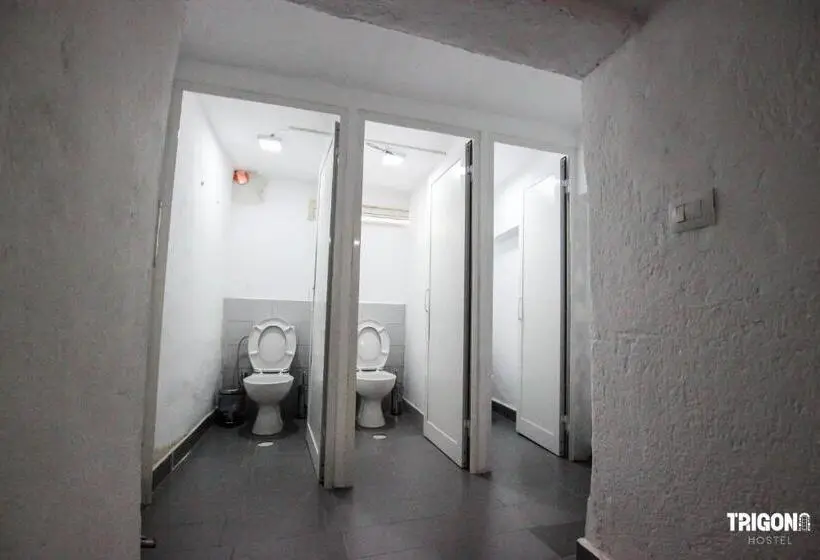 اتاق خانوادگی, Trigona Hostel