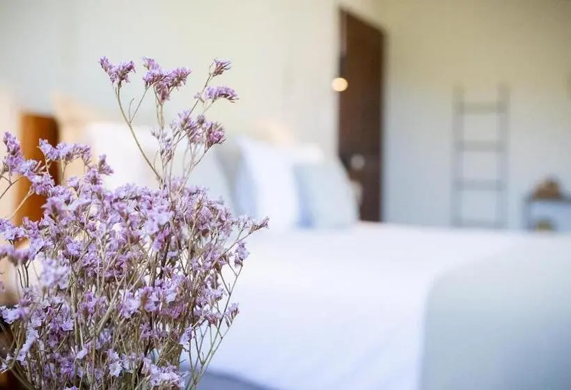 اتاق لوکس, Couvent De La Salette & Spa