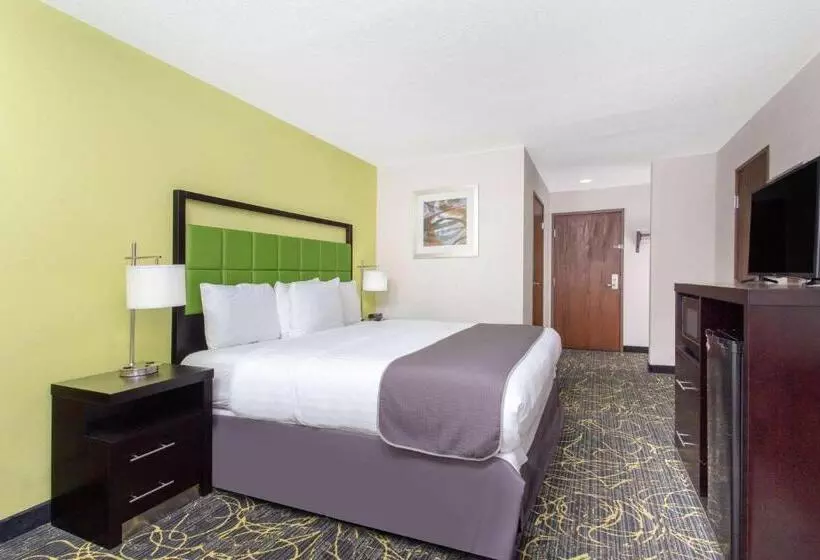 キングサイズベッドのスタンダードルーム, Americinn And Suites By Wyndham Delafield Waukesha Milwaukee