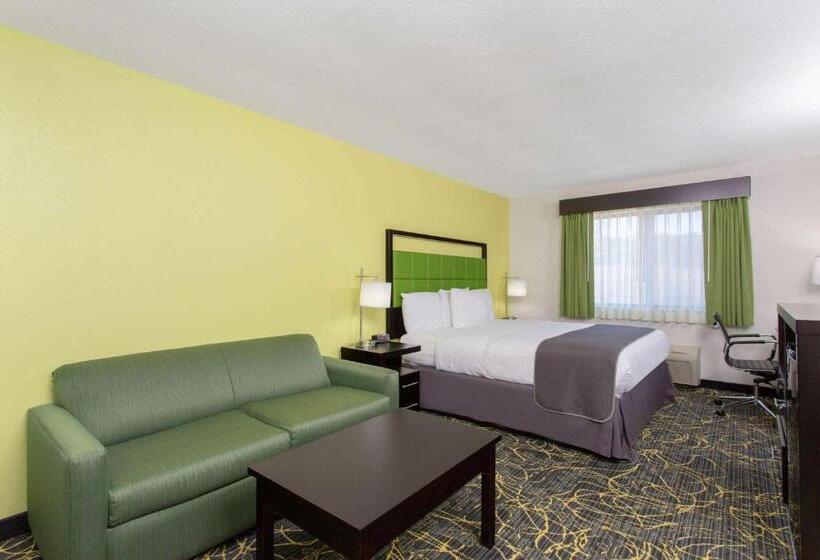 스탠다드 룸 킹사이즈 침대, Americinn And Suites By Wyndham Delafield Waukesha Milwaukee