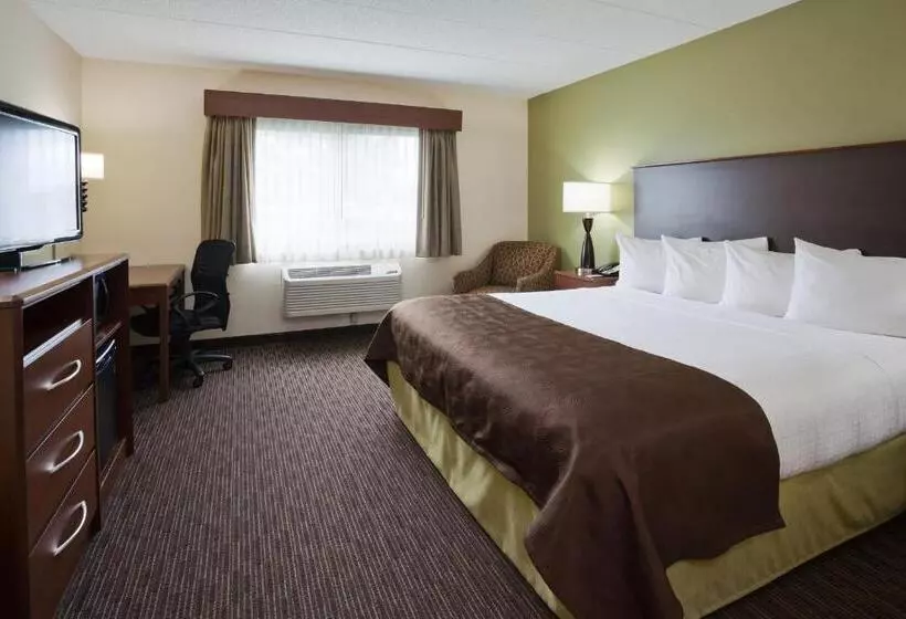 キングサイズベッドのスタンダードルーム, Americinn And Suites By Wyndham Delafield Waukesha Milwaukee